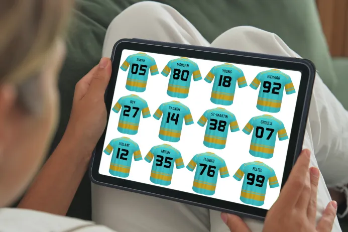 Description de l'image